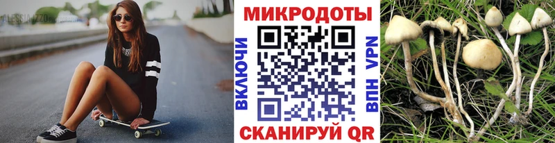 наркота  Муром  Псилоцибиновые грибы прущие грибы 